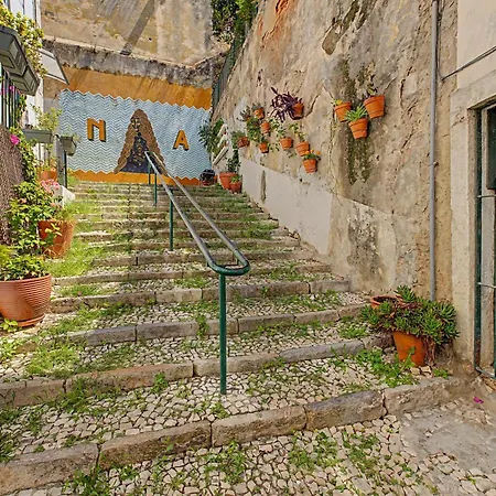 Casa Beco Do Castelo *